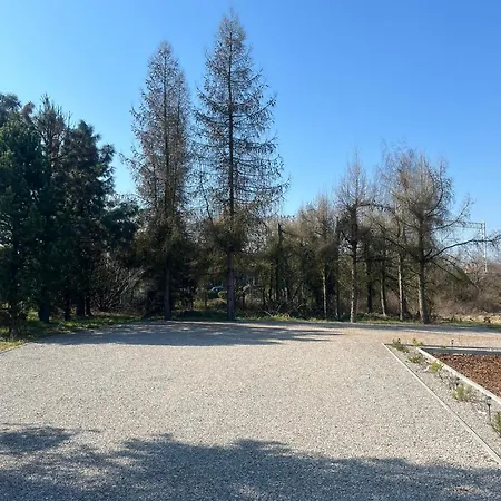 La Olive Premium Освенцим