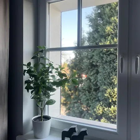 Guest house La Olive *