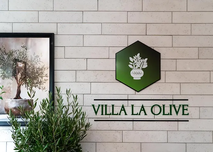 La Olive Premium Πανσιόν