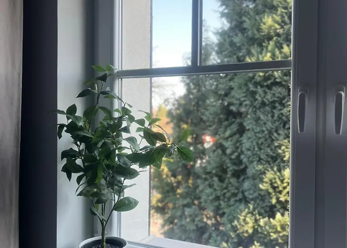 Πανσιόν La Olive Premium 3*